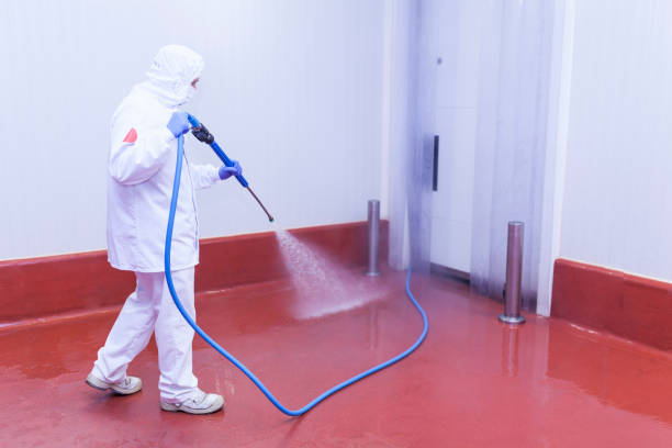 Best Patio and Deck Pressure Washing  in Port Morris, NJ